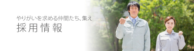 採用情報